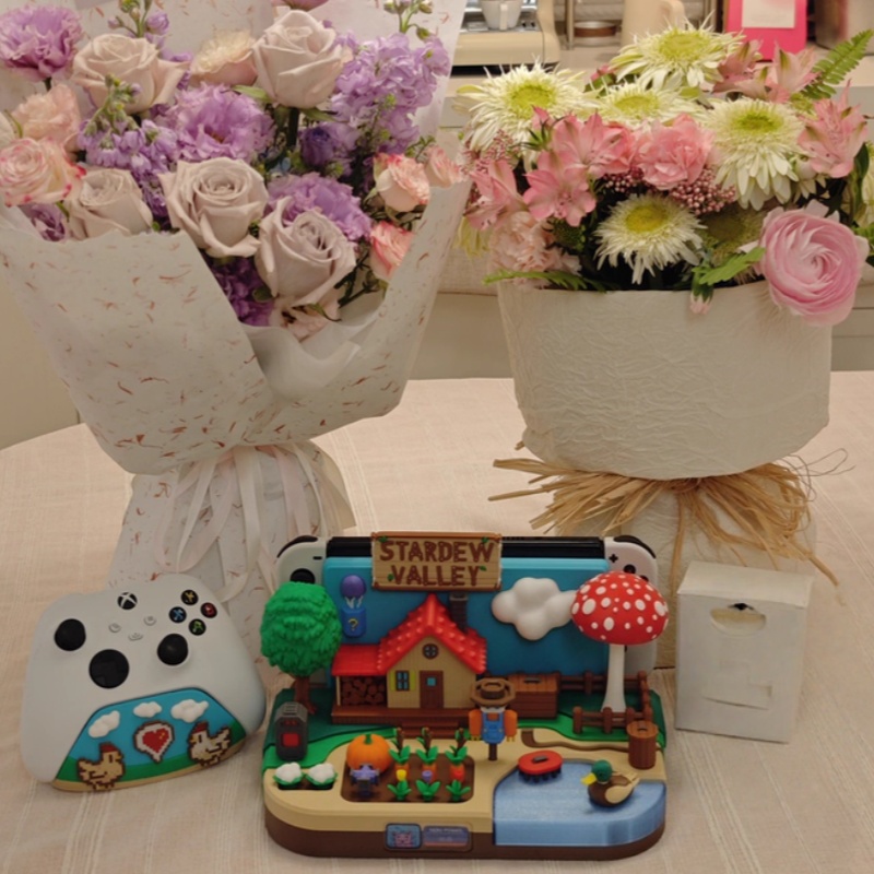 Switch Dock Stardew Valley Far – Gaming Console And Bewertung und Preis